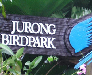 Singapore-Jurong-Bird-Park